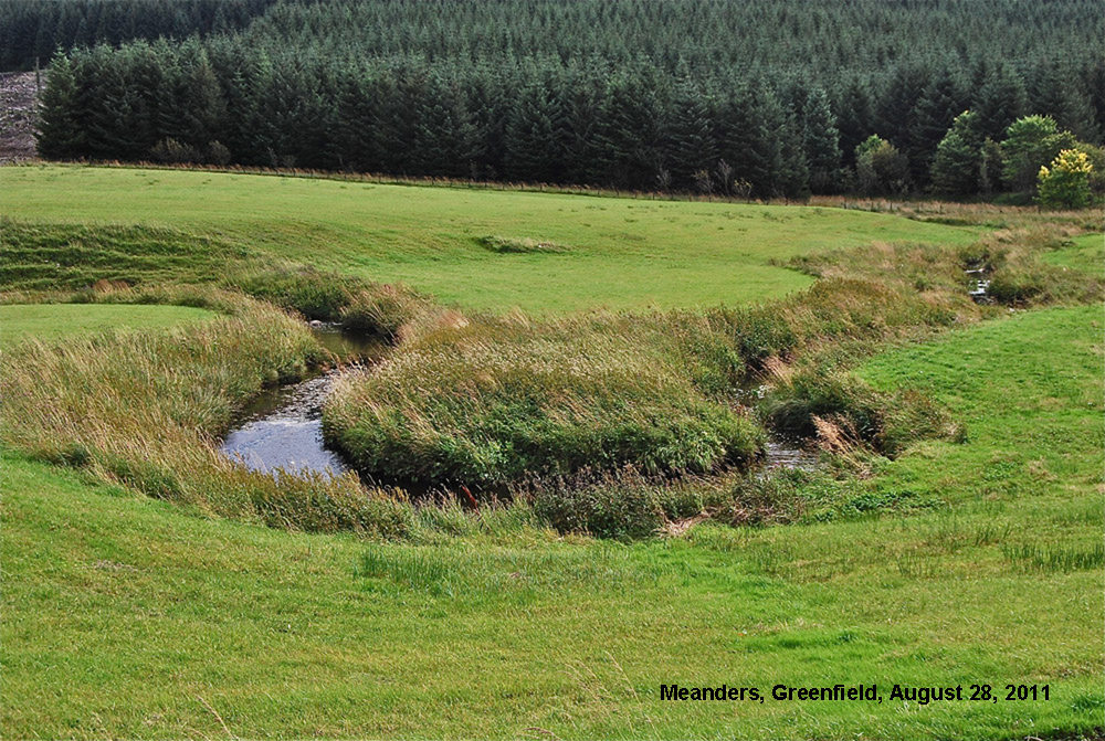 Greenfield meanders